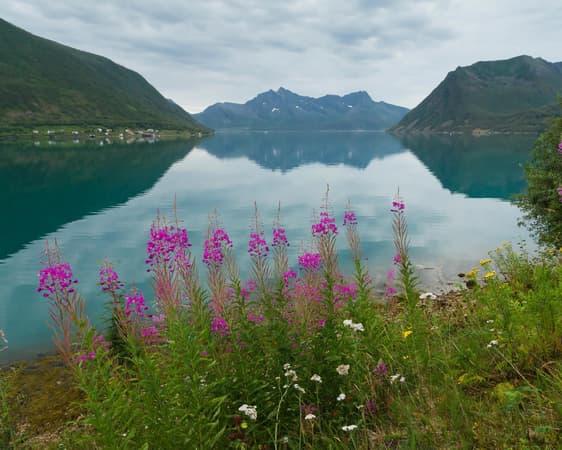 region Troms a Finnmark v Norsku