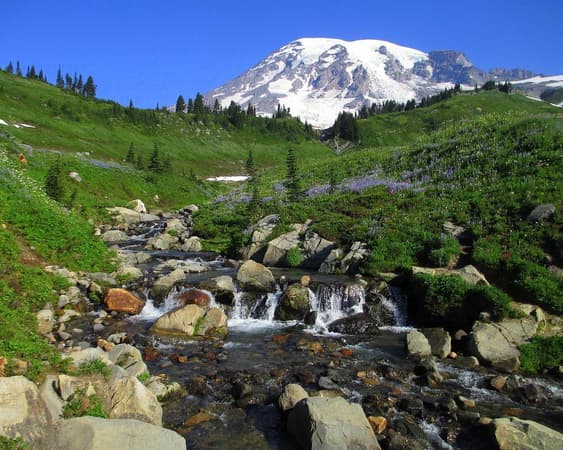 Mount Rainier National Park WA