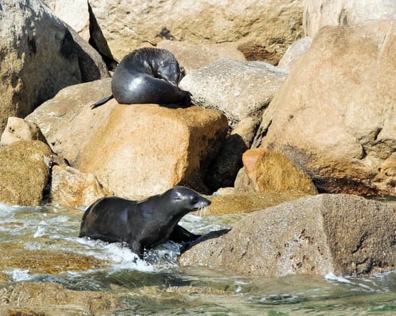 Abel Tasman National Park