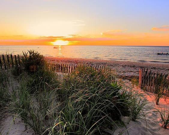 Cape Cod MA