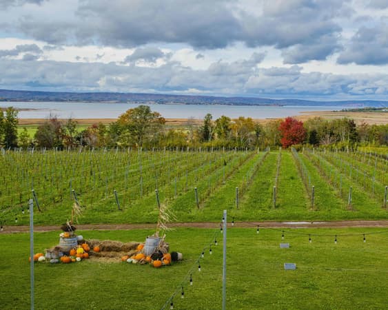 Wolfville, New Brunswick