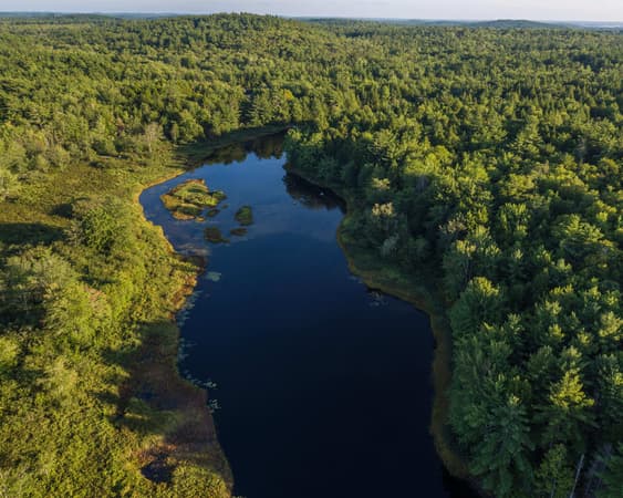 Nationaal Park Kejimkujik