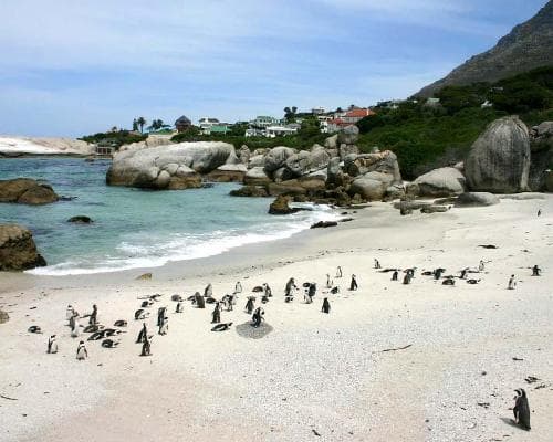 Simons Town