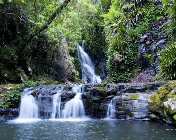 Lamington National Park