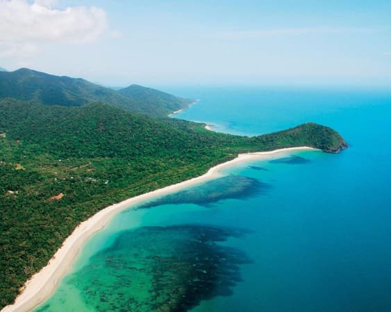 Cape Tribulation