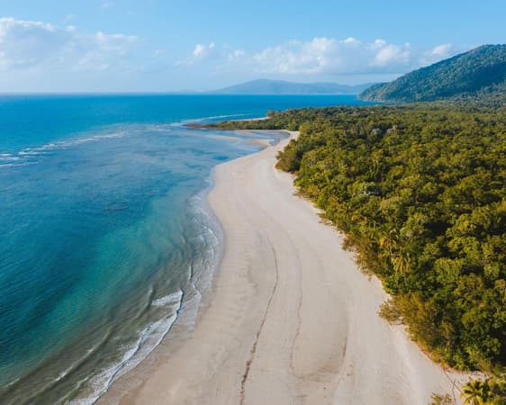 Cape Tribulation