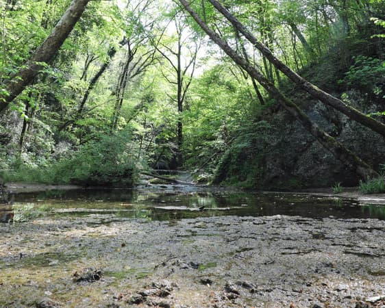 San Daniele Del Friuli