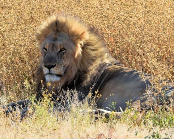 Etosha National Park