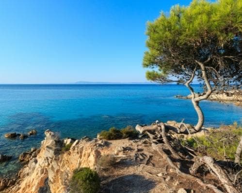 Kassandra, Calcidica