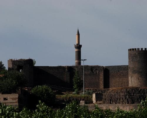 Amed