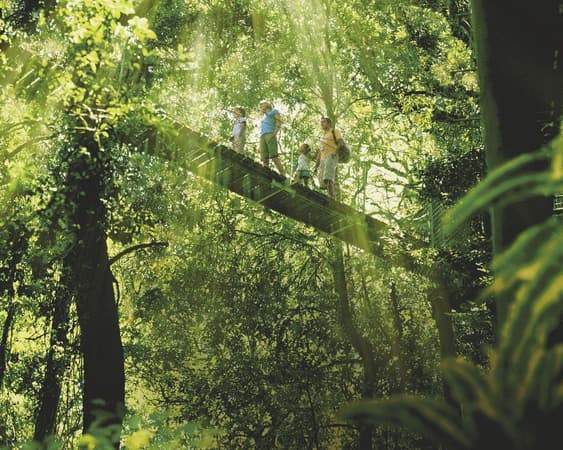 Lamington National Park