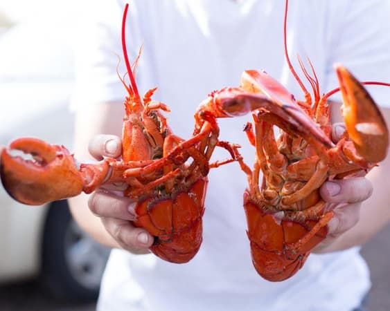 Shediac, New Brunswick