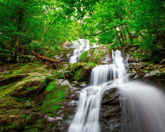 Shenandoah National Park VA