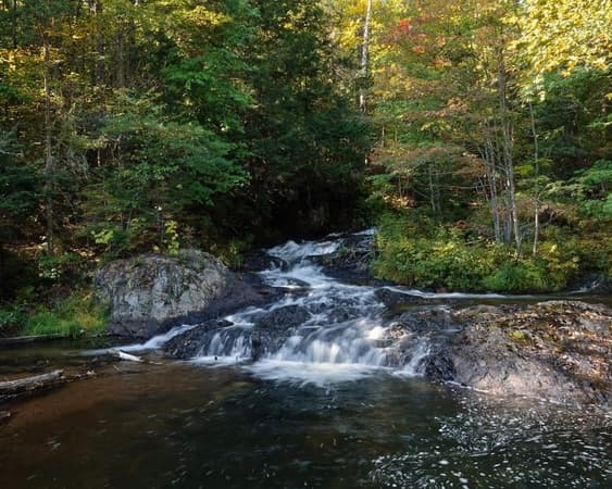 Saint-Alexis-des-Monts