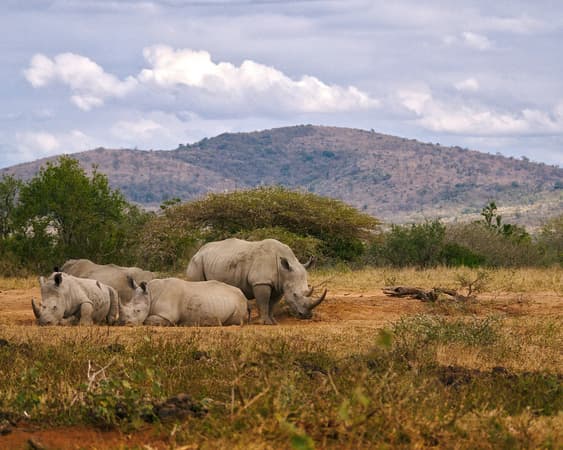 Hluhluwe National Park