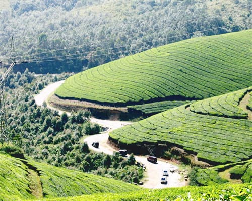 Munnar