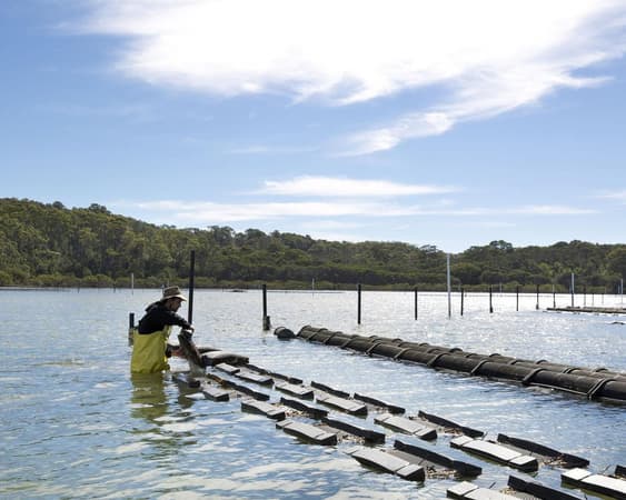 Merimbula, New South Wales
