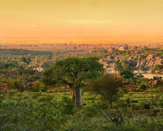 Welgevonden Game Reserve