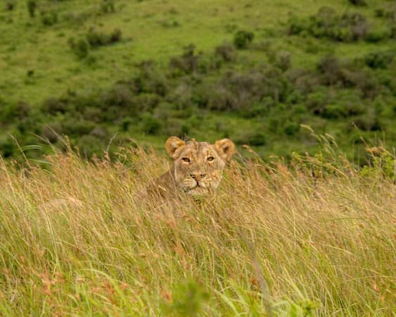 Hluhluwe National Park