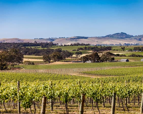 Barossa Valley