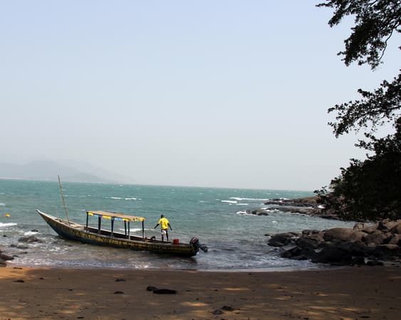 Банановые острова