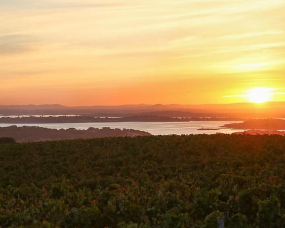 Reguengos de Monsaraz