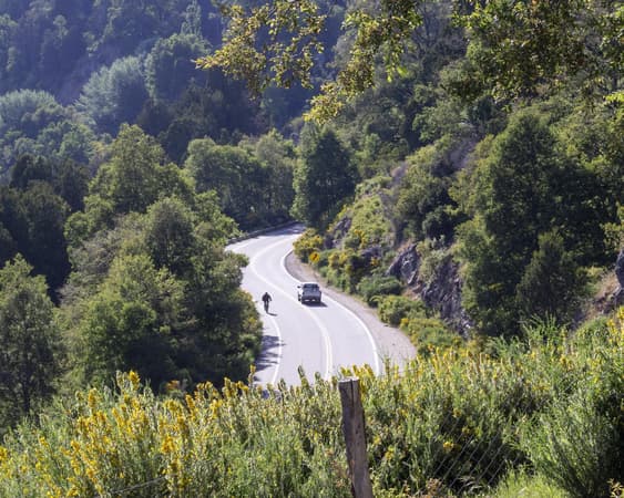 San Martín de los Andes