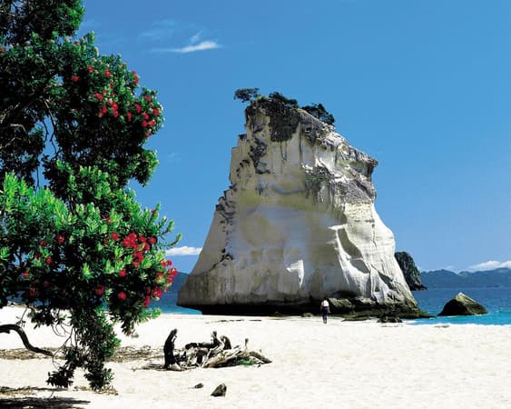 Coromandel peninsula