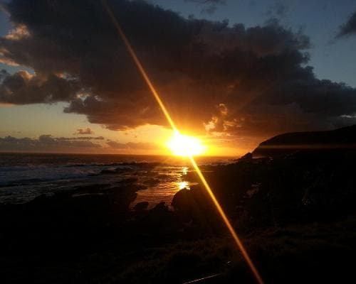 Tsitsikamma National Park