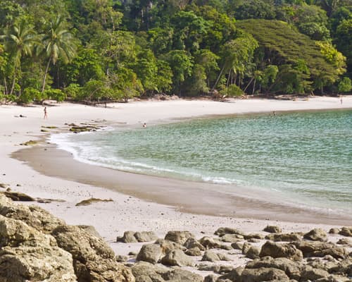 Manuel Antonio