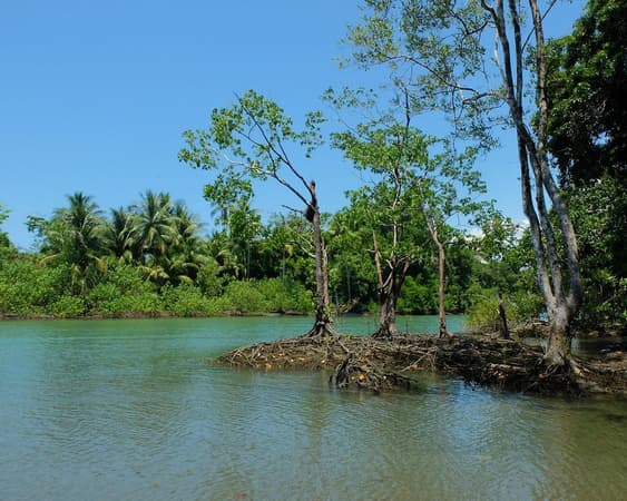 Corcovado National Park