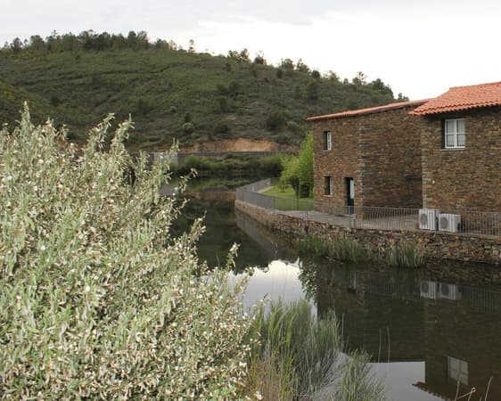 Freixo de Espada à Cinta