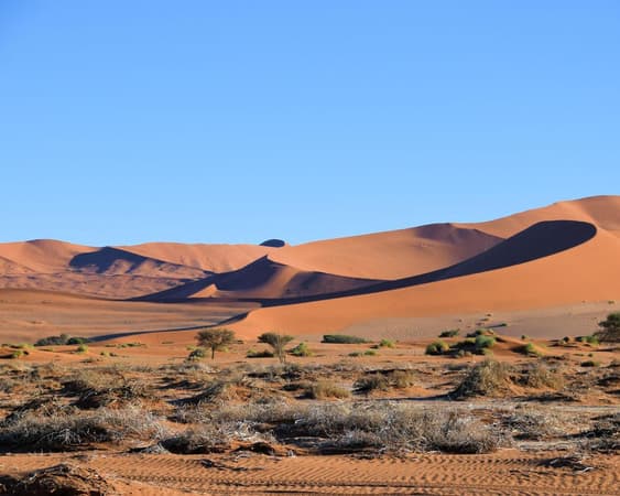 Sossusvlei