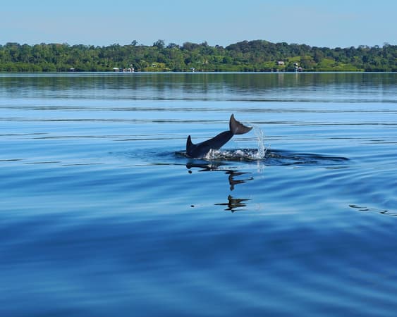 Bocas del Toro
