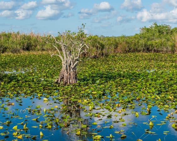 Everglades National Park - Flamingo Visitor Center