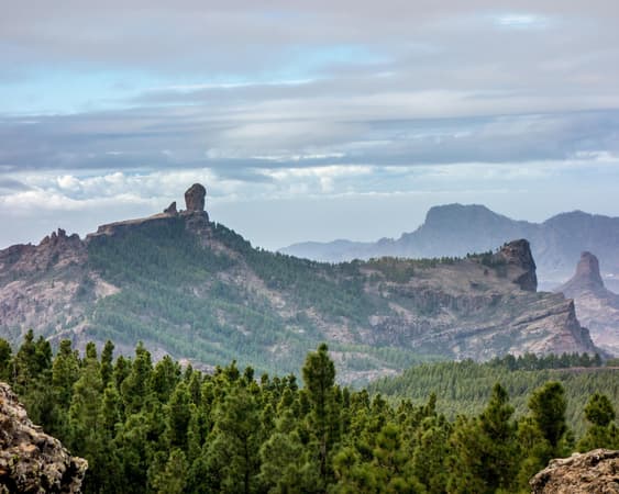 Pico de las Nieves