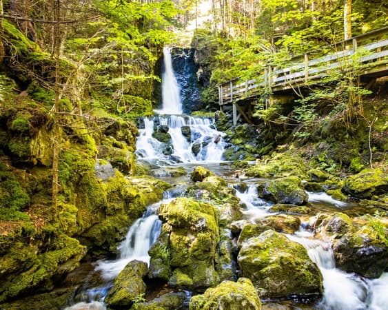 Fundy National Park Observation Deck