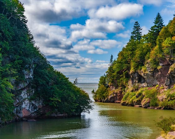 Fundy National Park Observation Deck