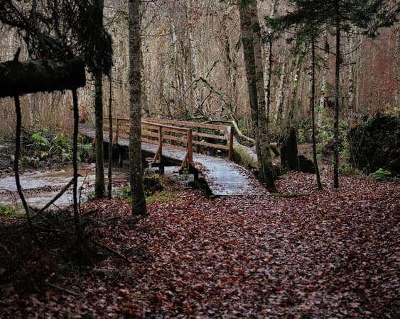 Biogradska Gora National Park