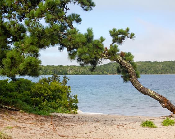 Nickerson State Park