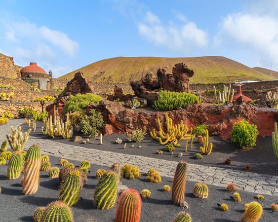 Jardín de Cactus de Lanzarote