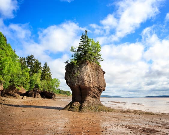 Hopewell Rocks