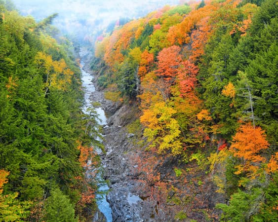Quechee Gorge State Park