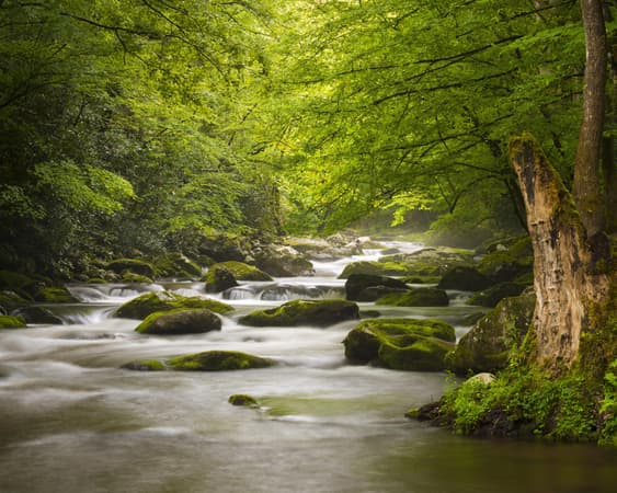 Great Smoky Mountains National Park