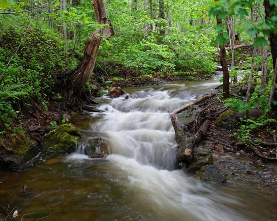 Cape Breton Highlands National Park