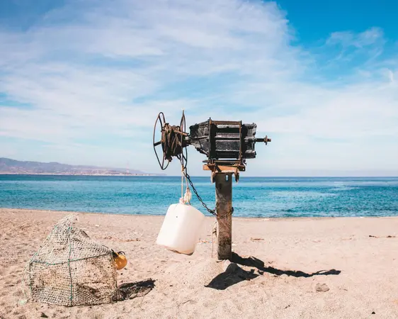 Marina di Sibari, Calabrië