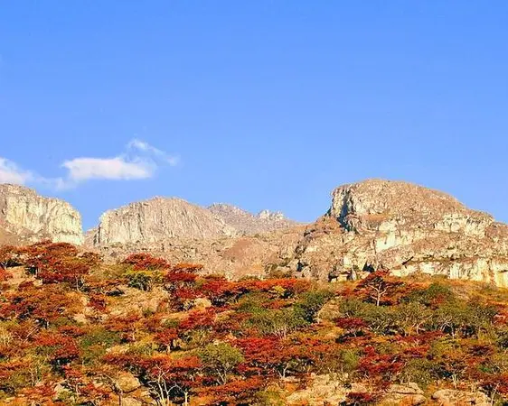 チマニマニ国立公園