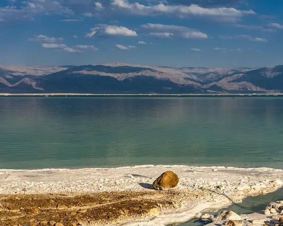 Dead Sea, Israel