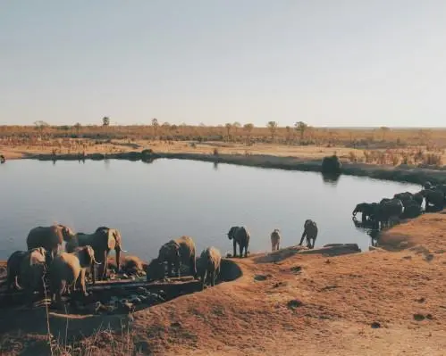 Mana Pools National Park