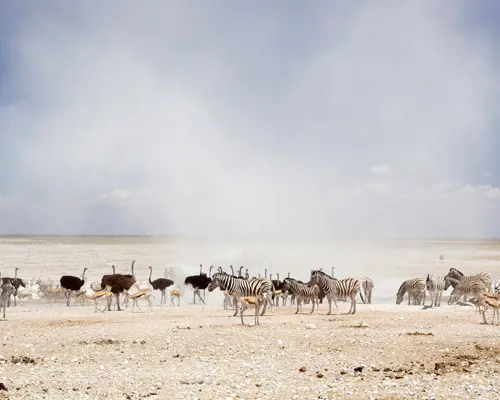 Etosha National Park